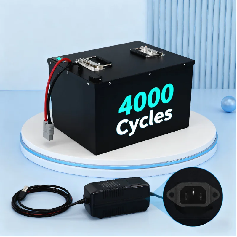 LIFEPO4 Battery Pack with BMS  - 72V 40Ah Lifepo4 Battery Pack 评论和价格